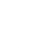 ZiggiCig